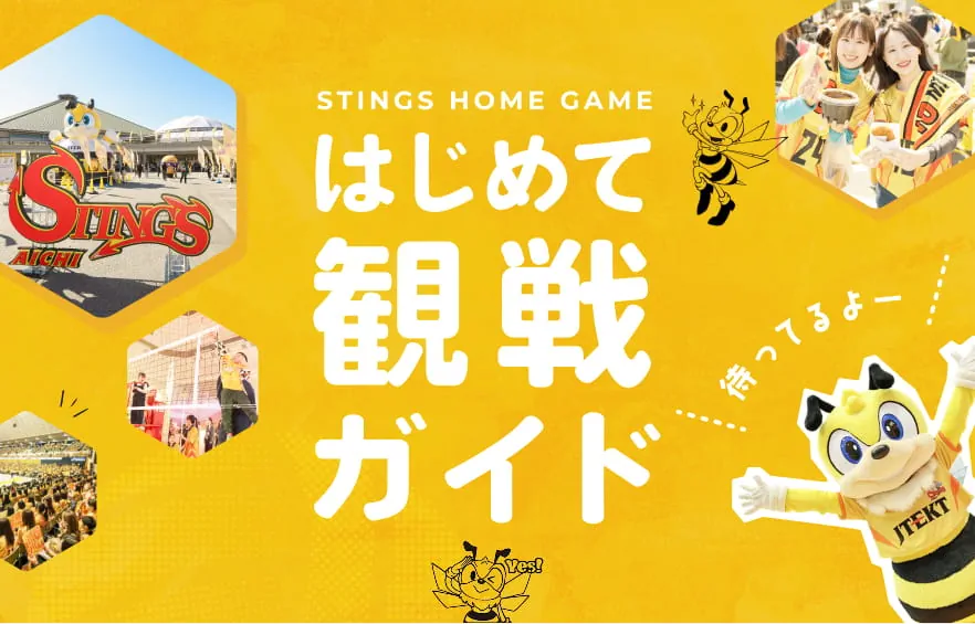 はじめて観戦ガイド