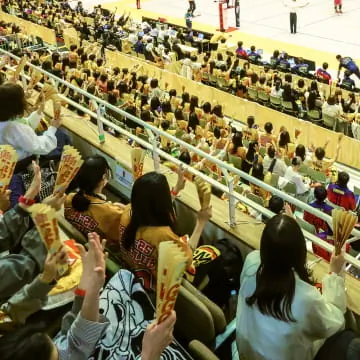 チケット購入方法