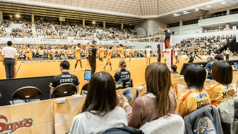 Beesシート購入権